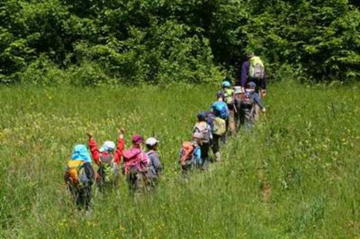 Spaziergang im Sommer