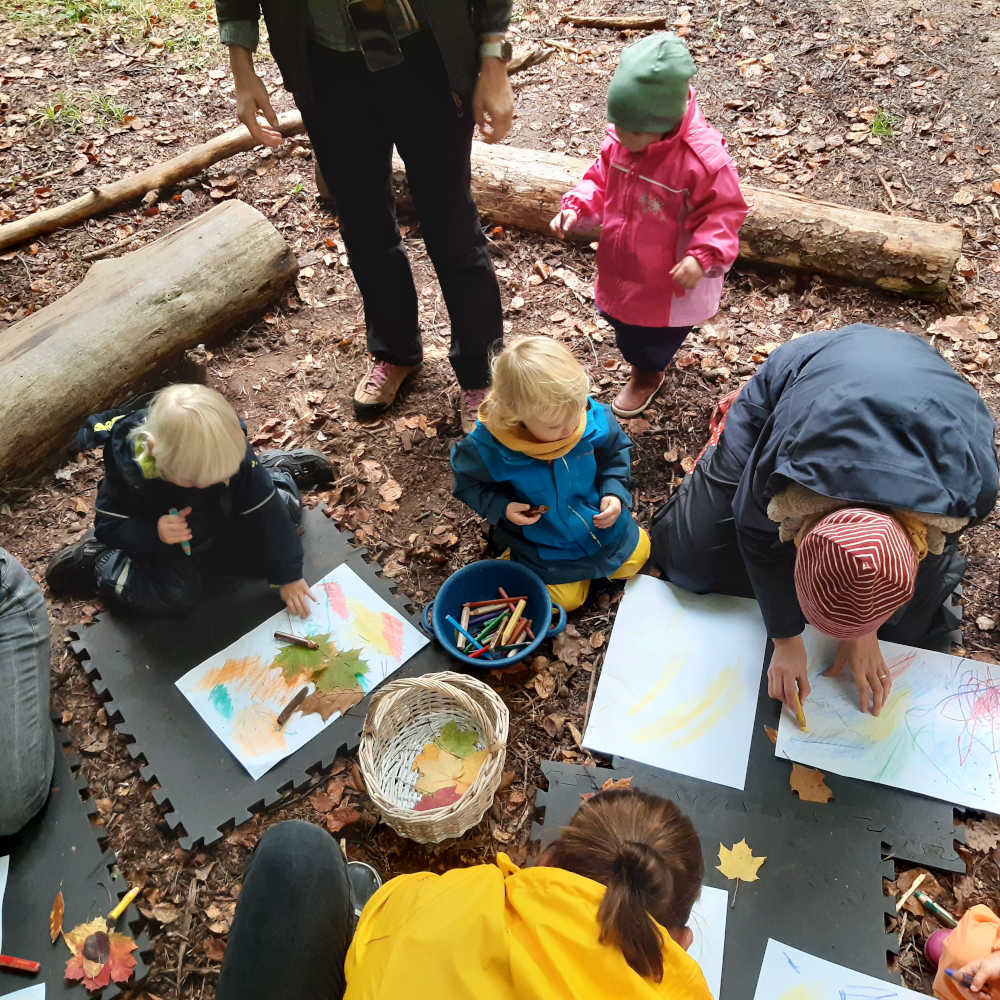 Abenteuer im Wald